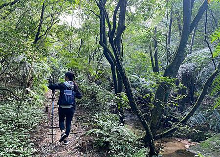 Photo 2020-12-26, 11 57 55_batch.jpg