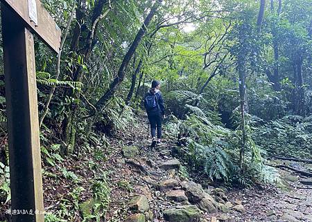 Photo 2020-12-26, 12 02 04_batch.jpg