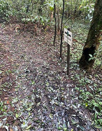 Photo 2020-12-26, 12 04 28_batch.jpg