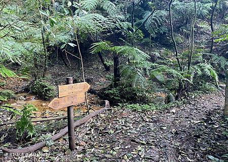 Photo 2020-12-26, 12 06 04_batch.jpg