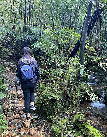 Photo 2020-12-26, 12 09 20_batch.jpg