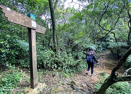 Photo 2020-12-26, 12 14 07_batch.jpg