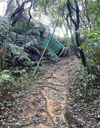 Photo 2020-12-26, 12 28 30_batch.jpg