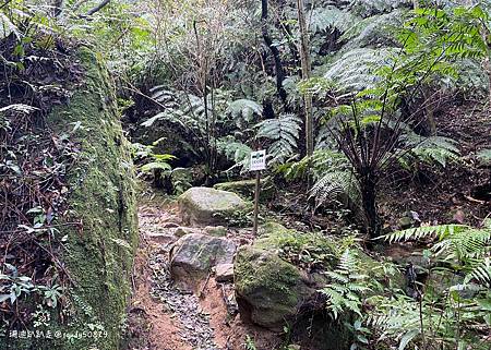 Photo 2020-12-26, 12 19 00_batch.jpg