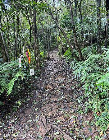 Photo 2020-12-26, 12 30 34_batch.jpg