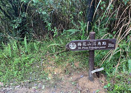 Photo 2020-12-26, 12 36 13_batch.jpg