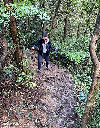 Photo 2020-12-26, 12 40 41_batch.jpg