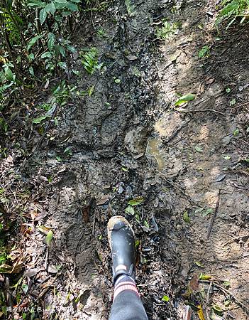 Photo 2020-12-26, 12 46 05_batch.jpg