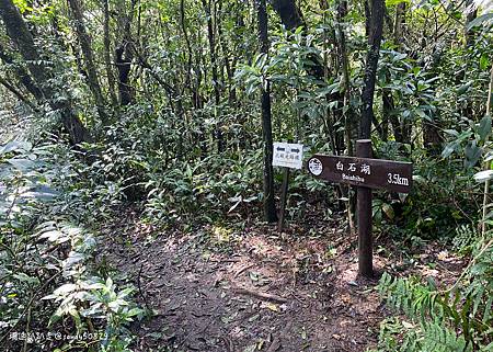 Photo 2020-12-26, 12 49 59_batch.jpg