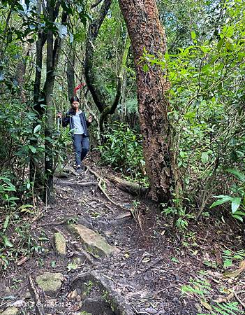 Photo 2020-12-26, 13 04 27_batch.jpg