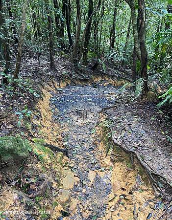 Photo 2020-12-26, 13 08 23_batch.jpg