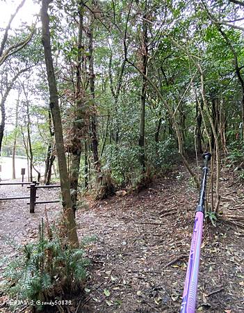 Photo 2020-12-26, 13 10 21_batch.jpg