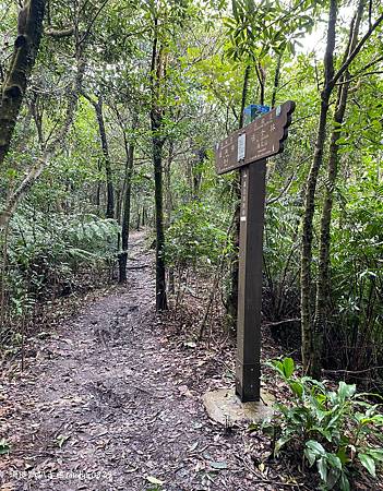 Photo 2020-12-26, 13 14 34_batch.jpg