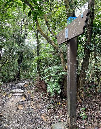 Photo 2020-12-26, 13 28 14_batch.jpg