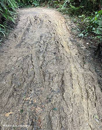 Photo 2020-12-26, 13 31 30_batch.jpg