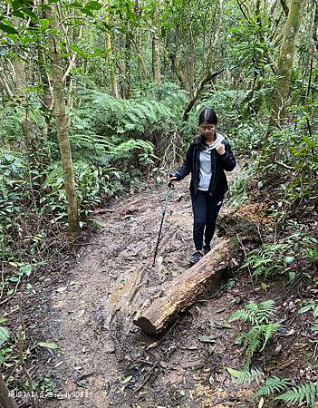 Photo 2020-12-26, 13 49 39_batch.jpg