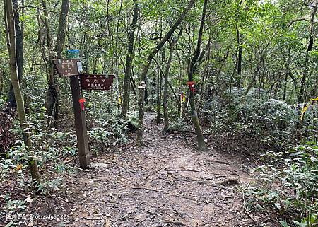 Photo 2020-12-26, 13 54 48_batch.jpg