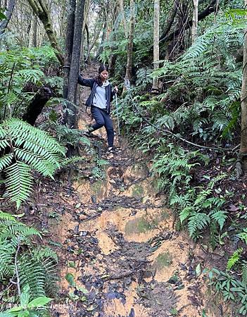 Photo 2020-12-26, 13 58 51_batch.jpg