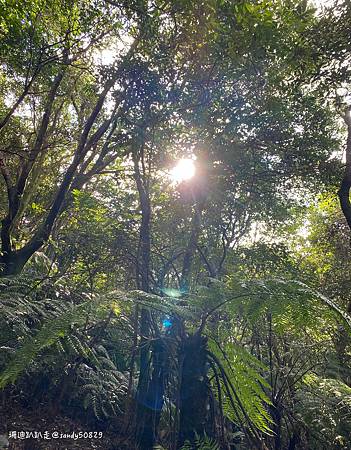 Photo 2020-12-26, 13 59 28_batch.jpg