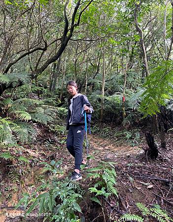 Photo 2020-12-26, 14 01 35_batch.jpg