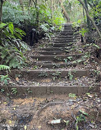 Photo 2020-12-26, 14 06 34_batch.jpg