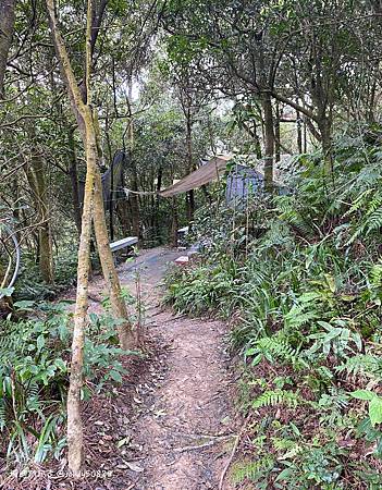 Photo 2020-12-26, 14 07 23_batch.jpg