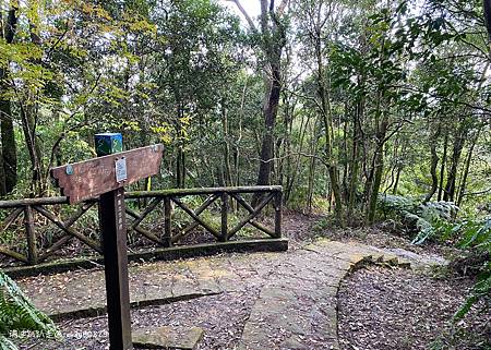 Photo 2020-12-26, 14 58 32_batch.jpg