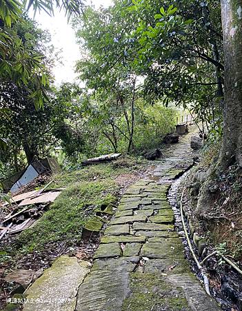 Photo 2020-12-26, 15 07 40_batch.jpg