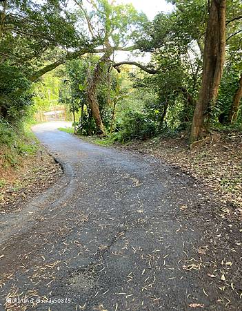 Photo 2020-12-26, 15 13 14_batch.jpg