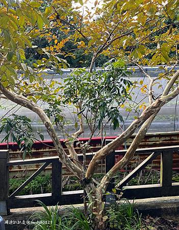 Photo 2020-12-26, 15 17 10_batch.jpg