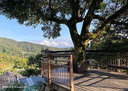 Photo 2020-12-26, 15 20 14_batch.jpg