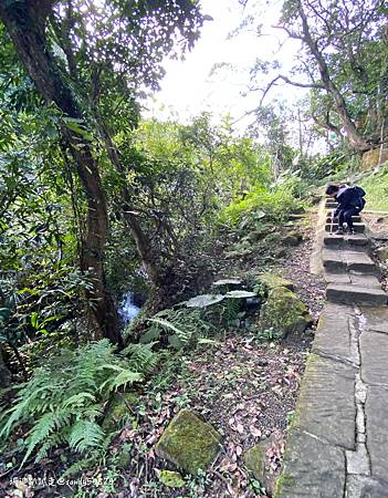 Photo 2020-12-26, 15 38 50_batch.jpg