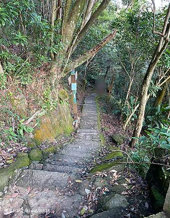 Photo 2020-12-26, 15 45 47_batch.jpg