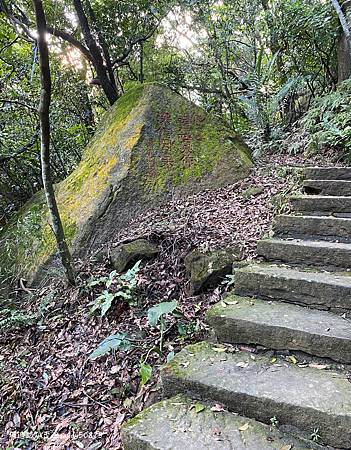 Photo 2020-12-26, 15 52 22_batch.jpg