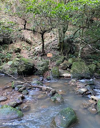 Photo 2020-12-26, 16 02 48_batch.jpg