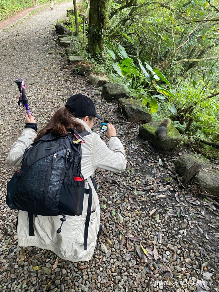 Photo 2020-12-27, 08 02 38_batch.jpg