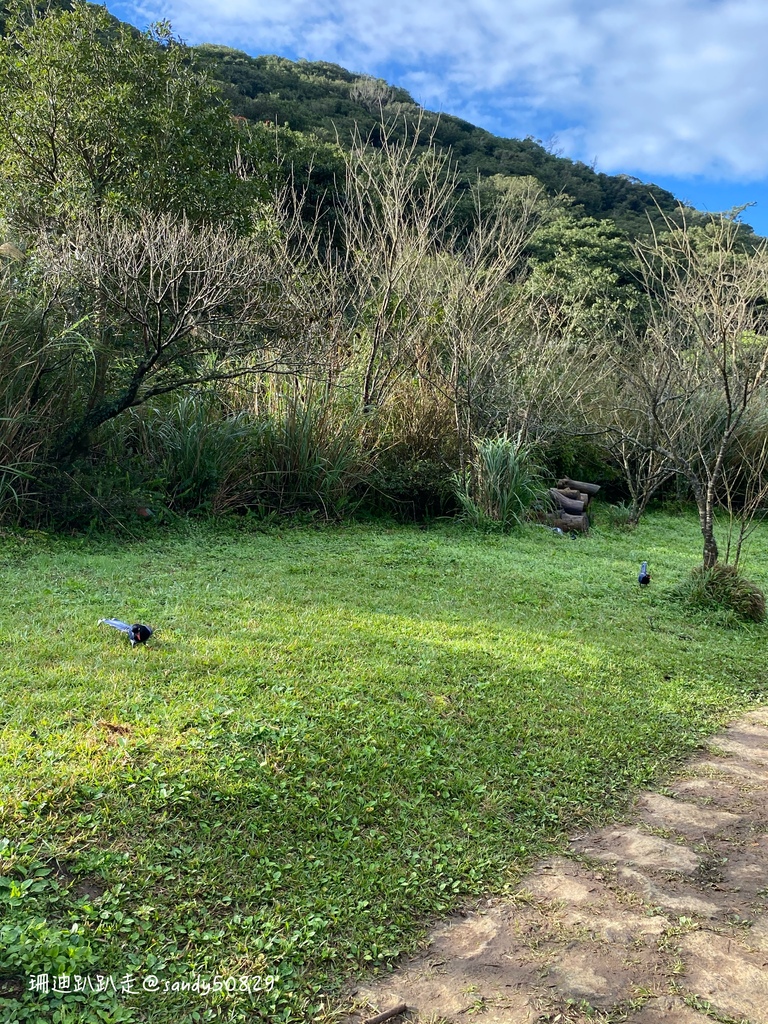 Photo 2020-12-27, 08 41 27_batch.jpg