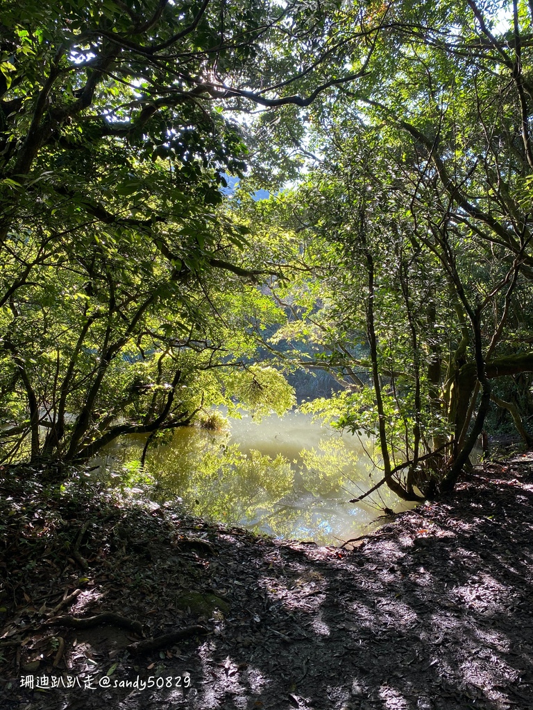 Photo 2020-12-27, 09 07 57_batch.jpg