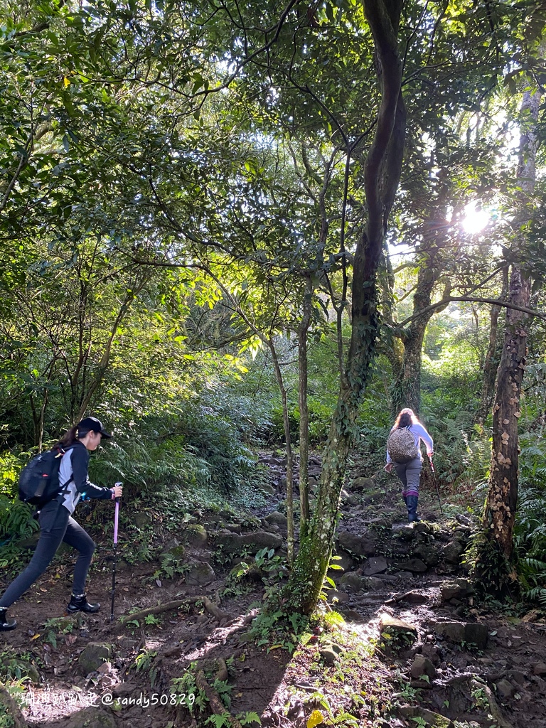 Photo 2020-12-27, 09 18 42_batch.jpg