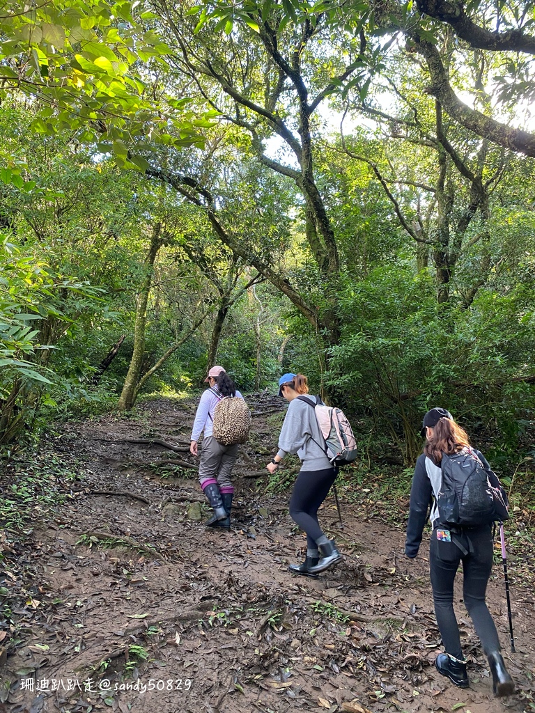 Photo 2020-12-27, 09 15 07_batch.jpg