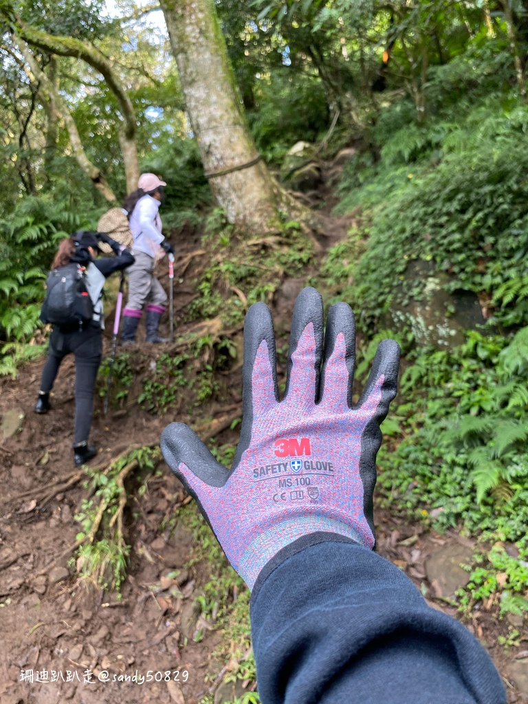 Photo 2020-12-27, 09 31 07_batch.jpg