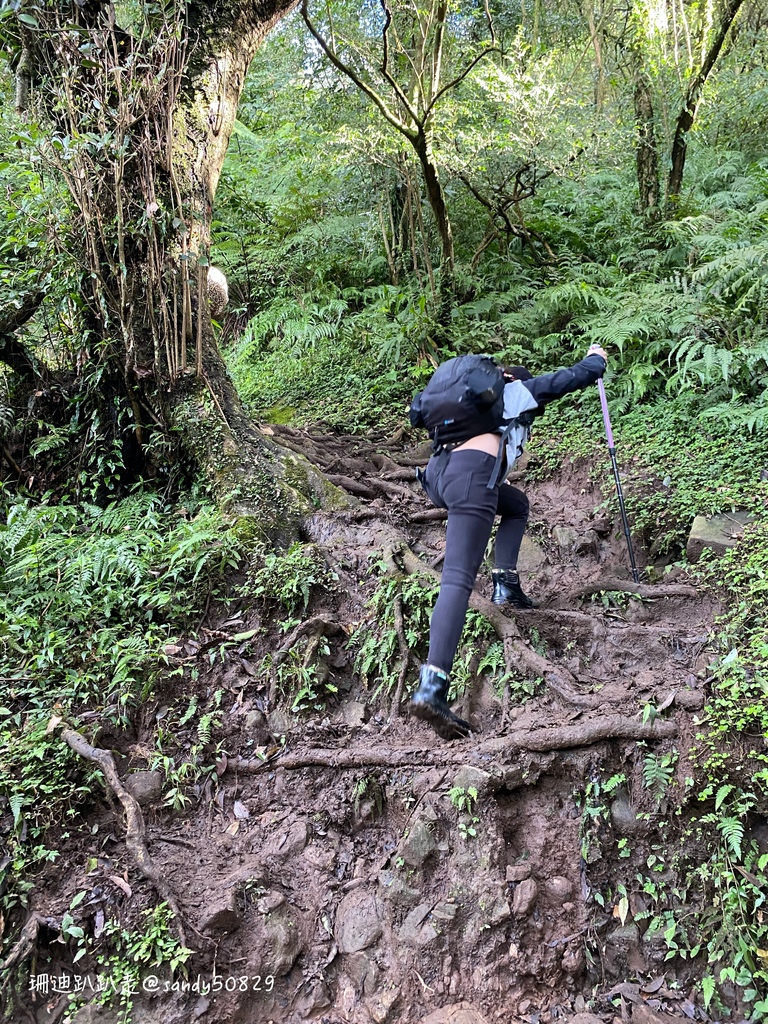 Photo 2020-12-27, 09 24 51_batch.jpg