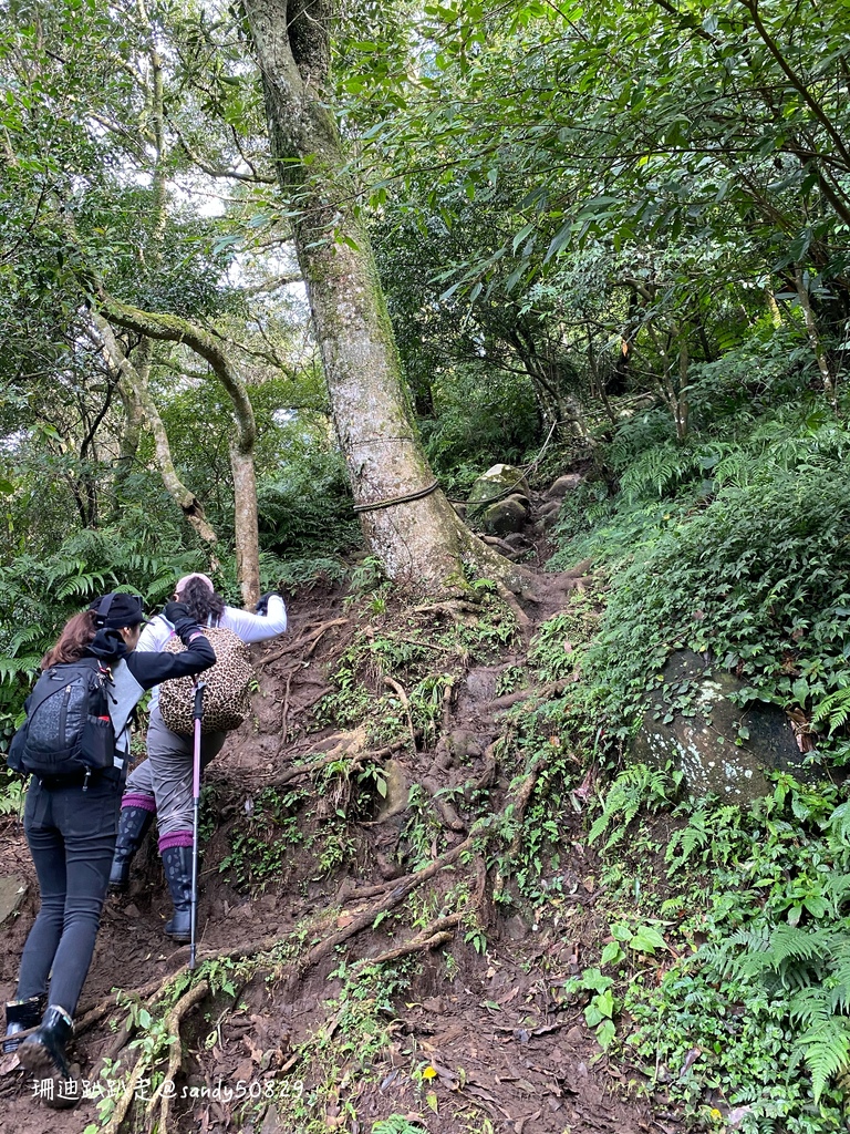 Photo 2020-12-27, 09 31 02_batch.jpg