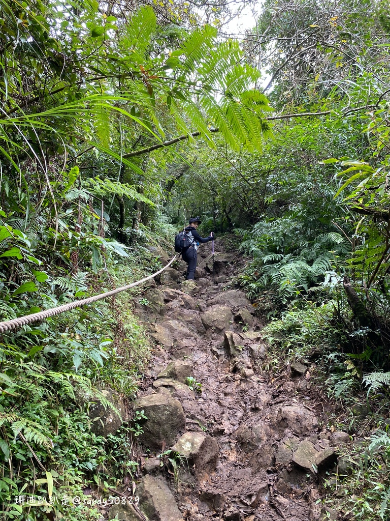 Photo 2020-12-27, 09 35 36_batch.jpg