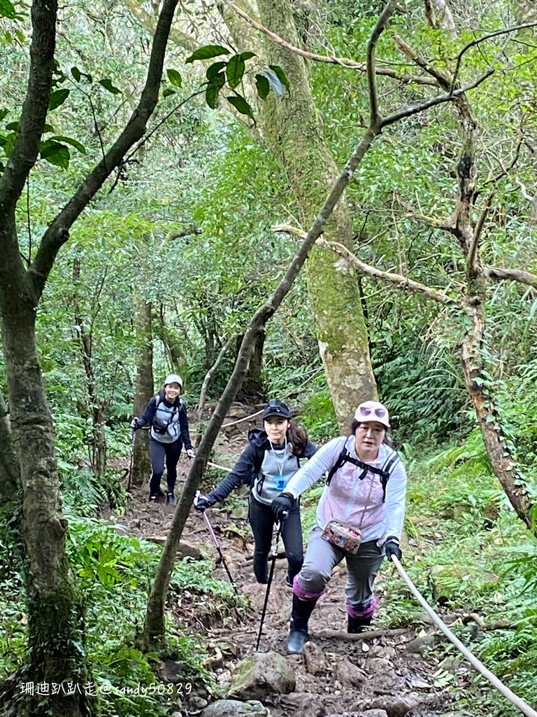 Photo 2020-12-27, 09 37 40_batch.jpg