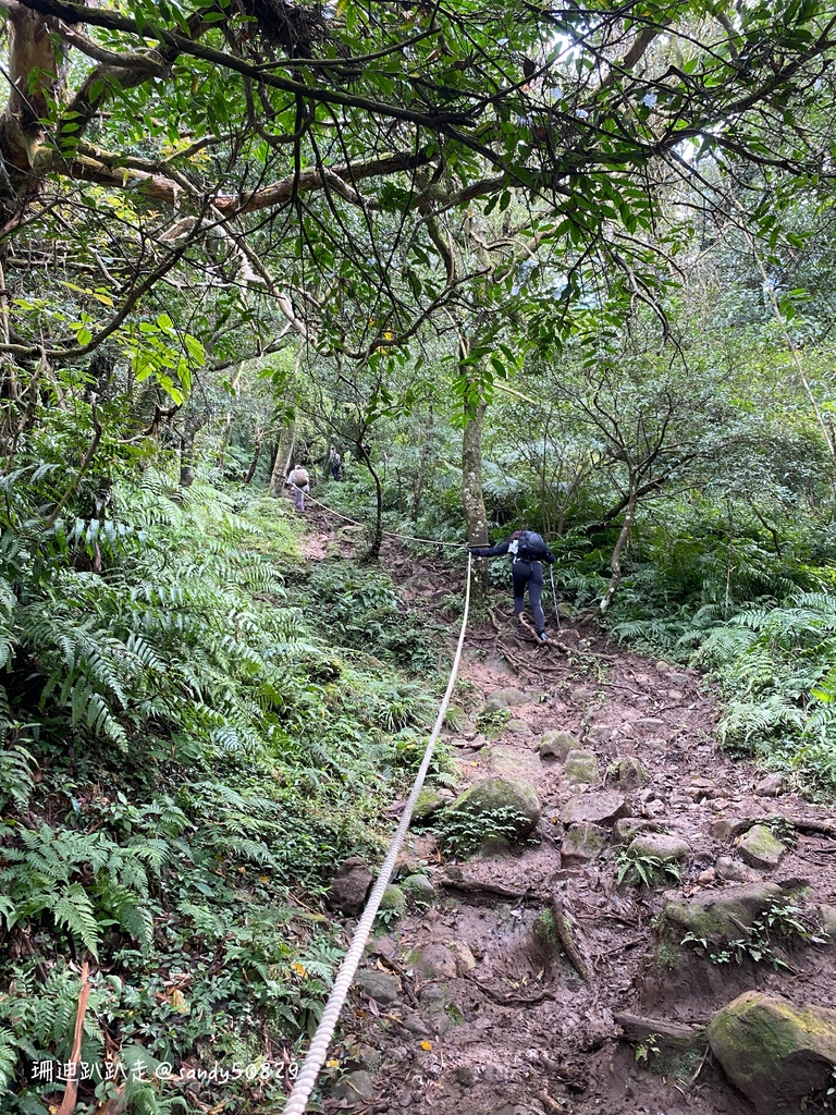 Photo 2020-12-27, 09 36 58_batch.jpg