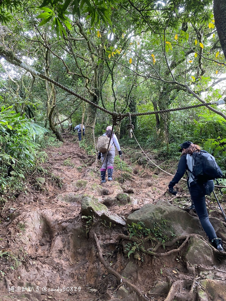 Photo 2020-12-27, 09 41 32_batch.jpg