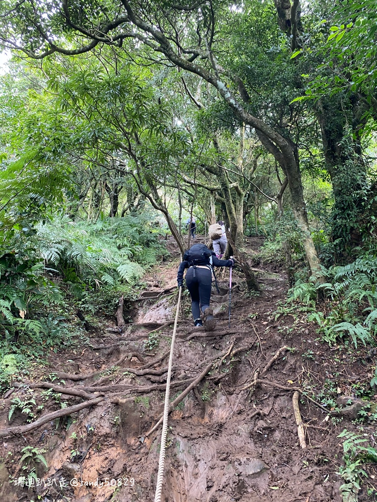 Photo 2020-12-27, 09 43 07_batch.jpg