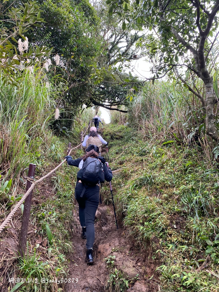 Photo 2020-12-27, 09 46 41_batch.jpg