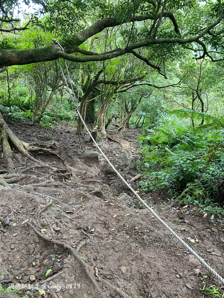 Photo 2020-12-27, 09 45 07_batch.jpg